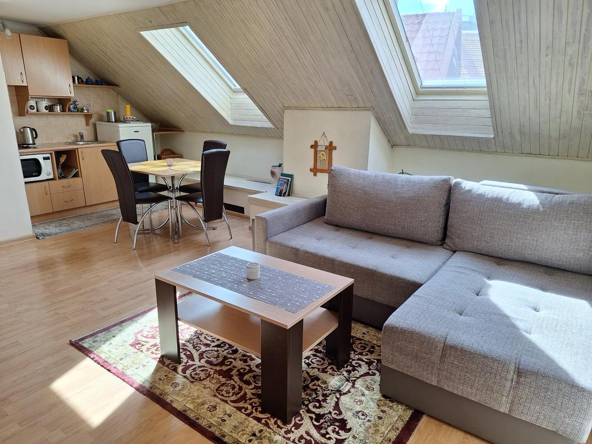 Vidos Apartamentai 维尔纽斯 外观 照片